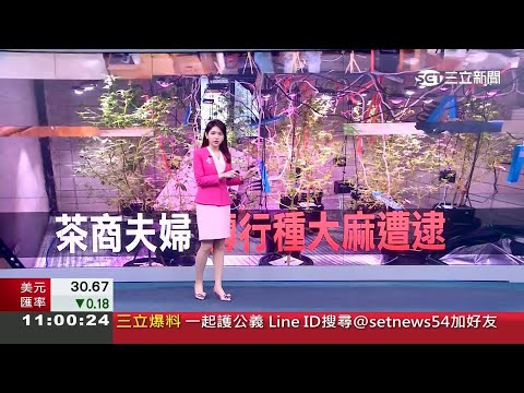 三立新聞主播劉宸希 新聞播報片段(2023/3/13)