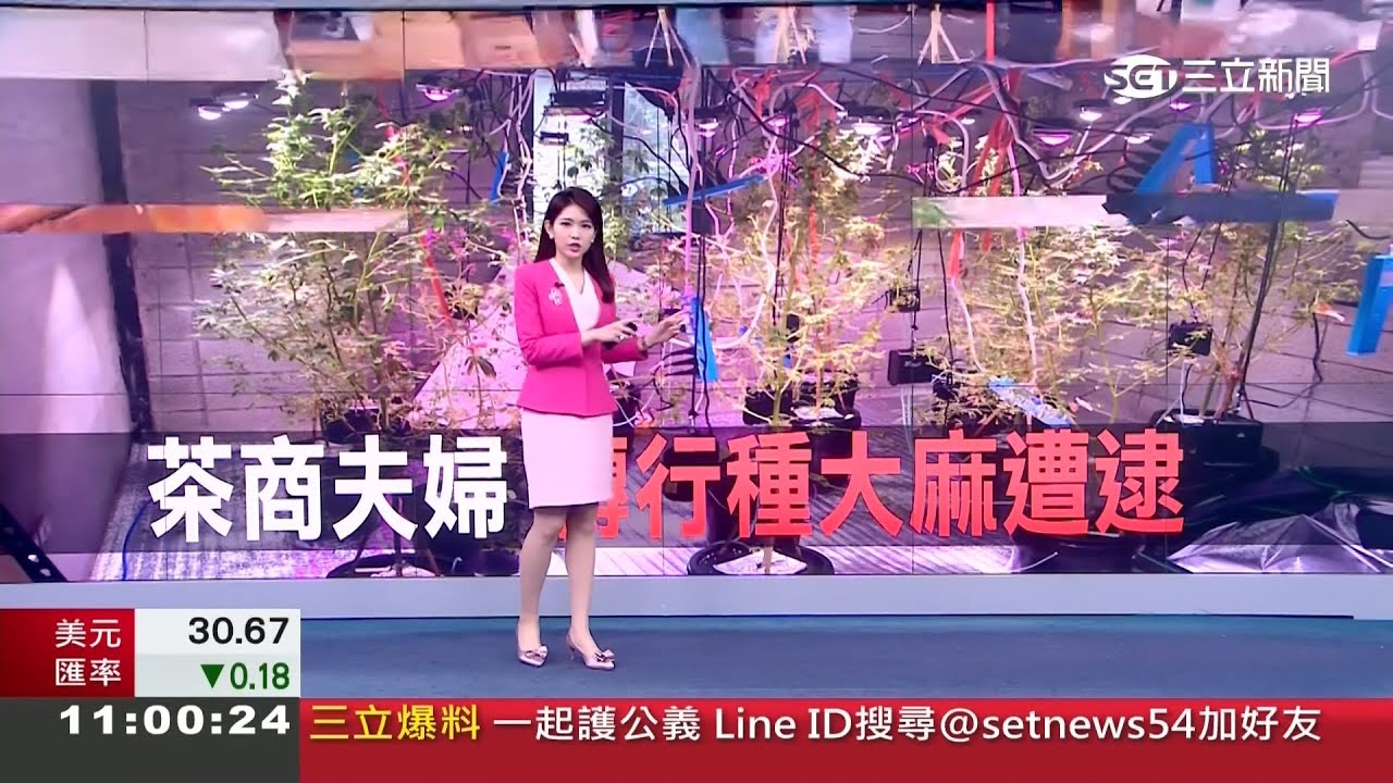 三立新聞主播劉宸希 新聞播報片段(2023/3/13) - YouTube