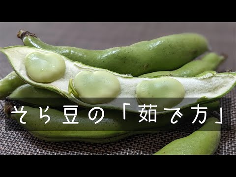 空豆の「茹で方」・「むき方」のコツ！春の味覚を堪能しよう！