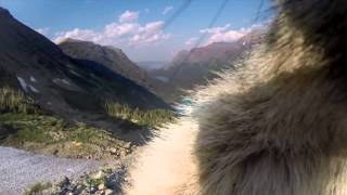 Marmot licks GoPro