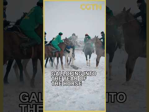 سوارکاران کوکپار در قزاقستان به استقبال سال اسب می روند 