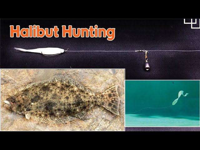 Halibut Fishing Setup Ep2 Dropshot Free Rig Good For Slow Days Easy Strong Any Time ê´'ì–´ë‚šì‹œ ì±„ë¹„ Youtube