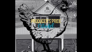 Producer's Pride Citadel Chicken Coop