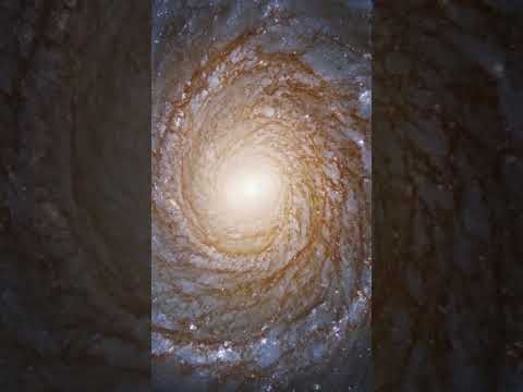 The Black Hole