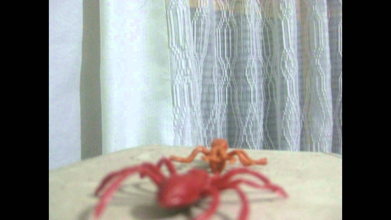 Hormiga de Campo vs araña Patu Digua (stop motion)