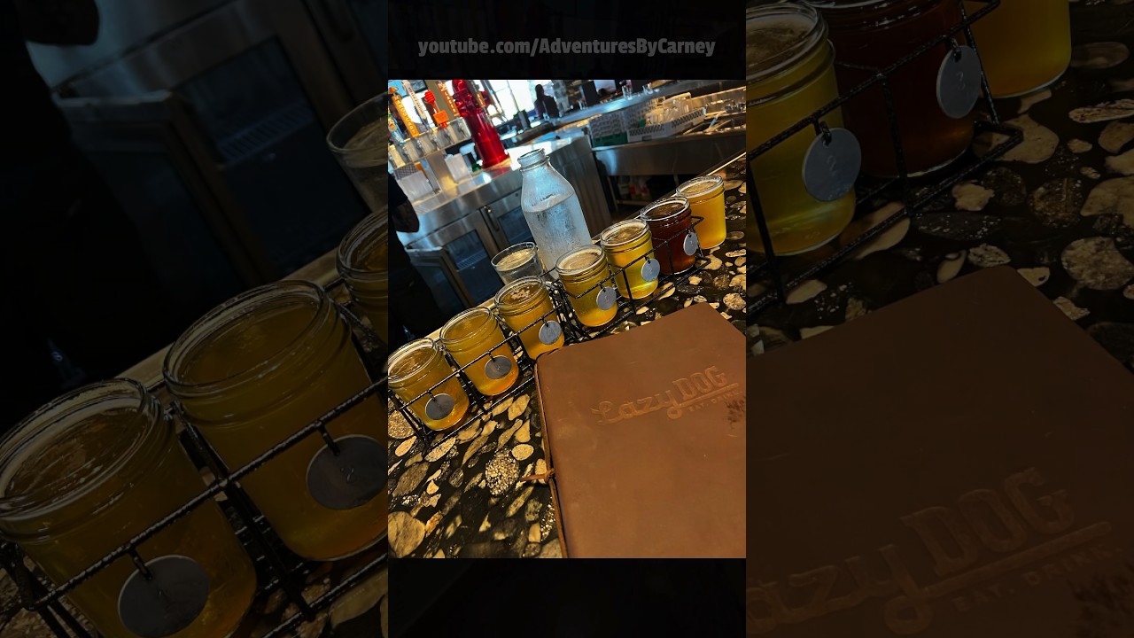 LAZY DOG RESTAURANT & BAR | Orlando, Florida | Tour & Review 