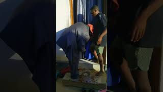 Daaah ivi ni makusudi au ni kwer haujui utaratibu? #comedy #foryou #fypシ #viaralshort