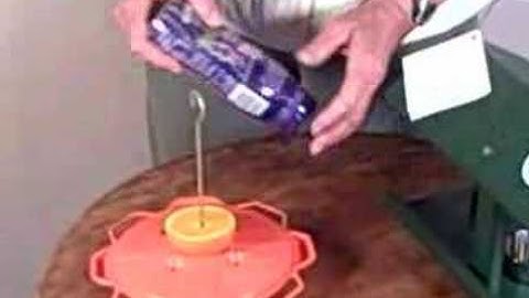 How to attract and feed orioles