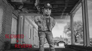 Bryan Martin - Wolves Cry Slowed Reverb