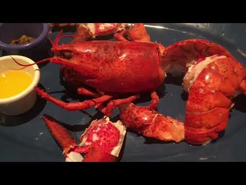 クックドア レッドロブスター 多摩境店 クックドア レッドロブスター 多摩境店