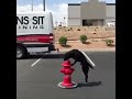 Dog training - longer send outs to fire hydrant