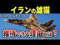 【まだ現役】イランのF-14 トムキャットをゆっくり解説します【イラン軍 アメリカ軍 戦闘機 可変翼】