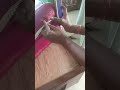 Bedbugs Best Pest Control Service/ ছারপোকা বেস্ট পেস্ট কন্ট্রোল সার্ভিস/ खटमल बेस्ट पेस्ट कंट्रोल