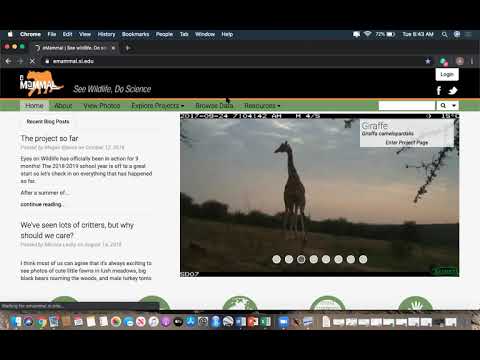 Wasatch Wildlife Watch Image Analysis Part 1:  Setting Up An Account and Assigning Camera Sites
