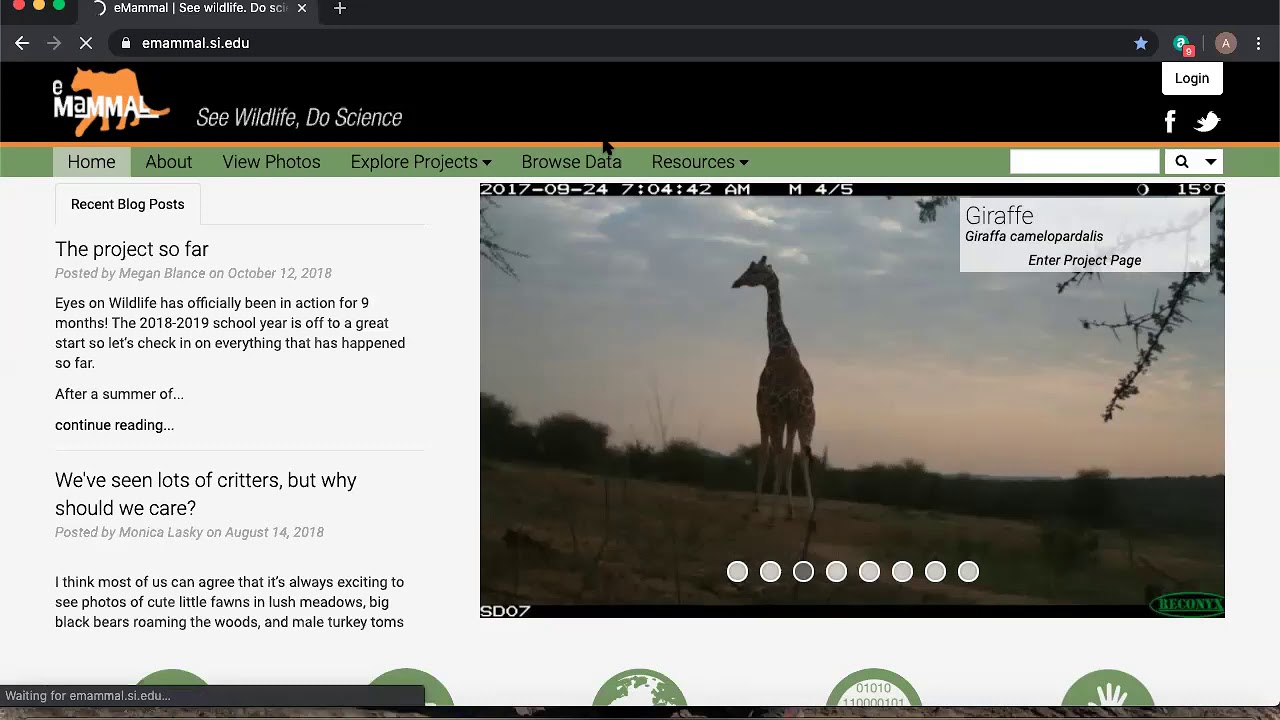 Wasatch Wildlife Watch Image Analysis Part 1:  Setting Up An Account and Assigning Camera Sites