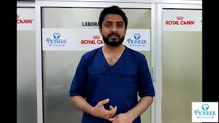 Dog Menstrual Cycle | Ideal time for mating | Heat signs | How to get successful pregnancy