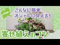 ぐんまの花でつくろうHowto動画シリーズ「【大公開】「簡単オシャレ！寄せ植えのコツ」」｜#hanagunma｜蚕糸園芸課｜群馬県