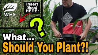 Best Food Plot For YOU To Plant