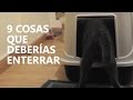 9 cosas que deberías enterrar | Funny Cats