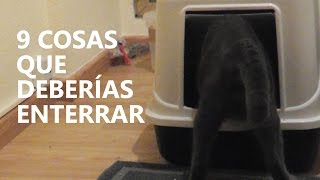 9 cosas que deberías enterrar | Funny Cats