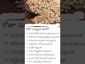 interesting facts #short#video