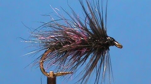 Fly Tying a Deer Creek Bibio with Jim Misiura
