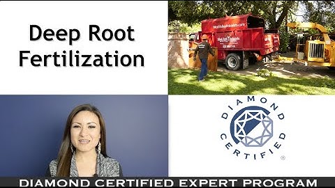 Diamond Certified Experts: Deep Root Fertilization