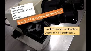 Information Study of compound microscope ||Practical based explanation|| Microbiology News