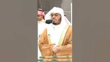 تلاوة تحبيرية لفضيلة الشيخ أ.د #_ياسر_الدوسري |  🌿 سورة النمل 🌿