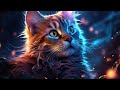 cat story 😺😺|| watch till end||# viral# shorts# subscribe||