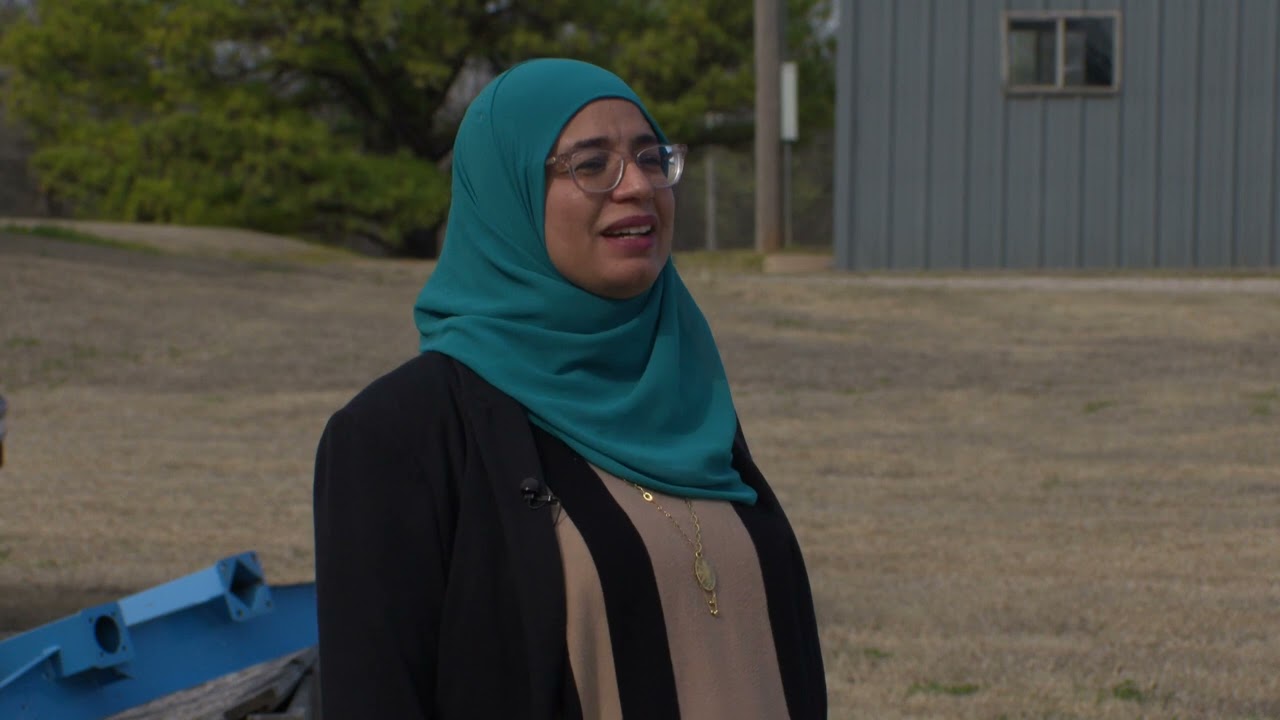 Wheat Disease Pressure: What Does This Year's Crop Look Like?