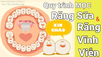 Quy trình Mọc RĂNG SỮA và RĂNG Vĩnh Viễn | Kiến Thức Nha Khoa