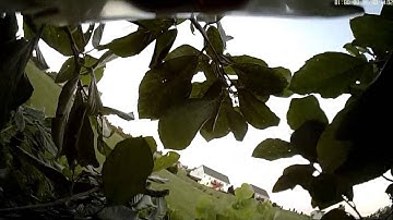 808 Keychain Camera no 16 Lens D Flying and Crashing on Hobbyzone Mini Super Cub