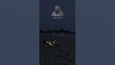 تلاوه خاشعه من الشيخ أحمد بن طالب ❤️🌷🌹