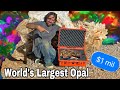 $1 Million Dollar Opal | Largest in the World!