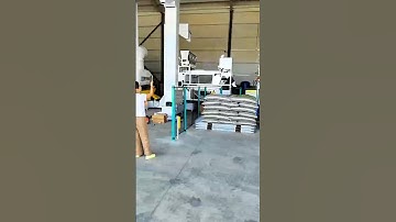 Industrial robots palletizing on the production line of a melon seed factory.#automation #robot
