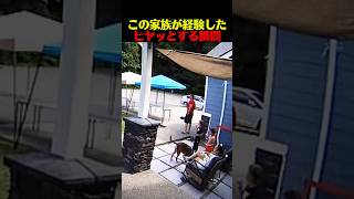 この家族が経験したヒヤッとする瞬間