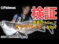 検証！真夏のリバーでビッグベイトは有効か！？【シーバスフィッシング】