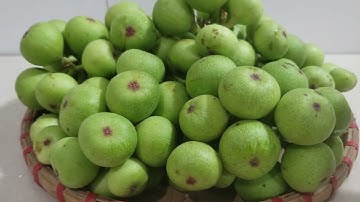 15 TÁC DỤNG CỦA QUẢ SUNG ĐỐI VỚI SỨC KHỎE CÓ THỂ BẠN CHƯA BIẾT.