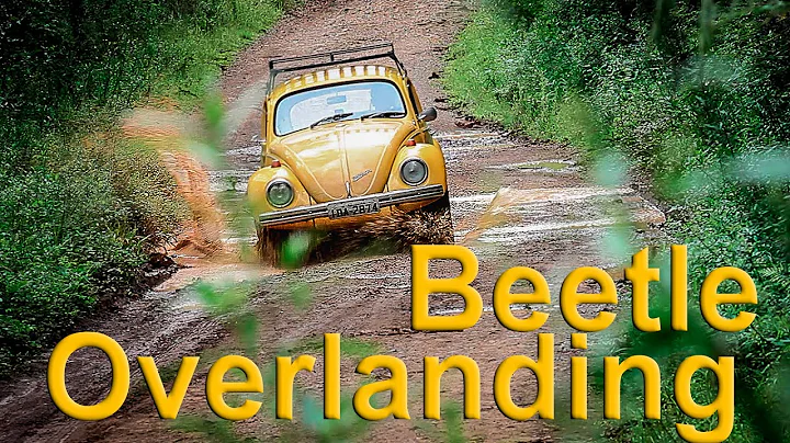 Car camping - Living out of a VW Bug