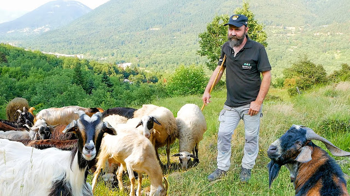 Alone in the Mountains with His Flock | Thodoris’ Battle with Nature