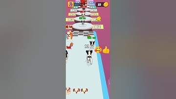 #shorts DOGGY RUN GAMEPLAY #viral  WALKTHROUGH🐕 #DOG SWEET ANDROID, IOS #game