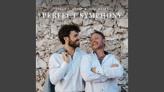 Download Lagu Perfect Symphony