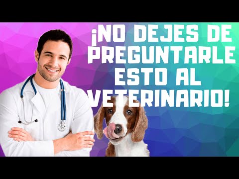 Video: Diez Trucos Estúpidos Del Veterinario: Confesiones Sobre El Cuidado De La Salud De Las Mascotas Desde El Frente