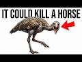 The Bird That Could Crush a Horse — And Then Disappeared