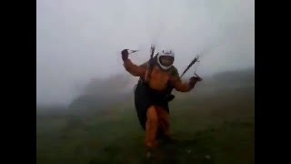 Driu volando en la parra con niebla