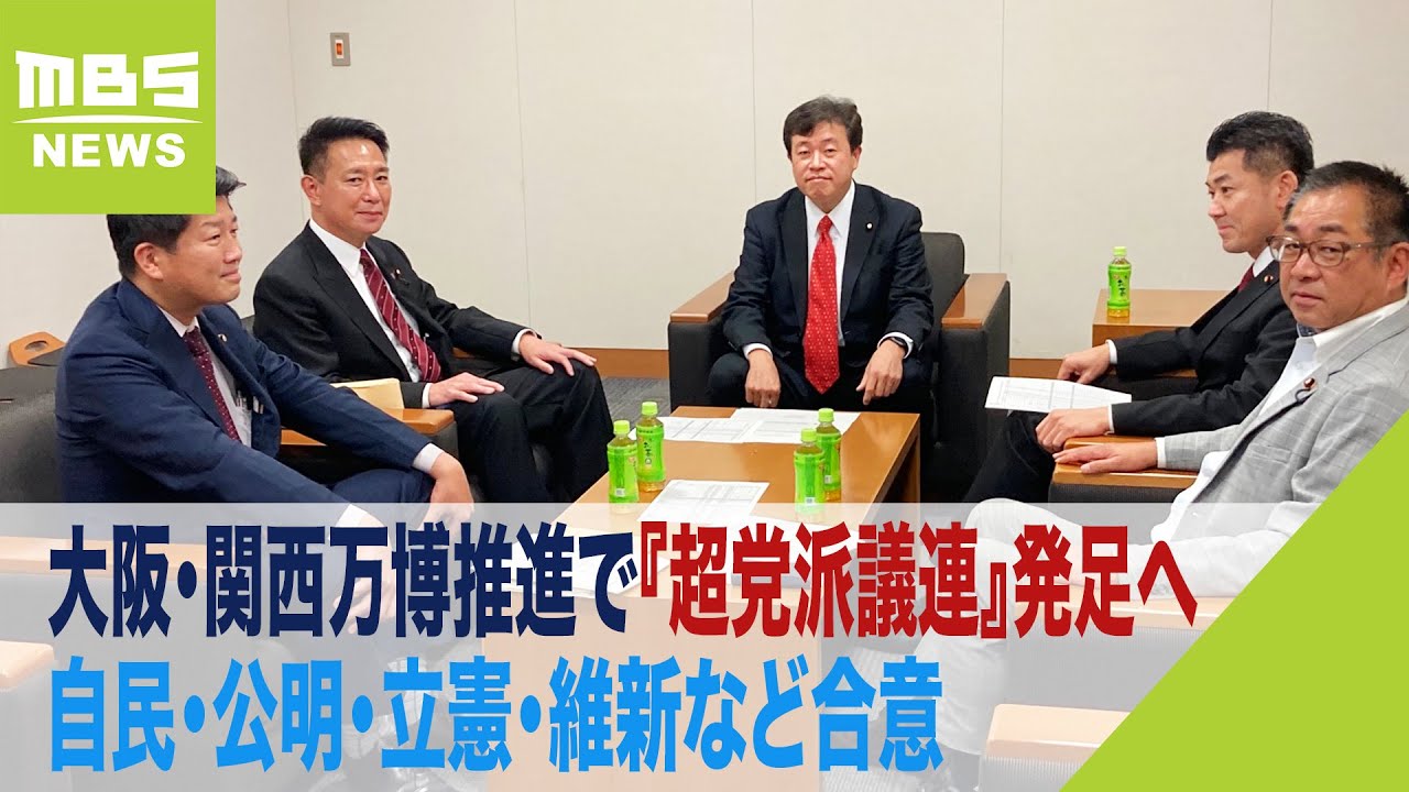 超 党派 と は