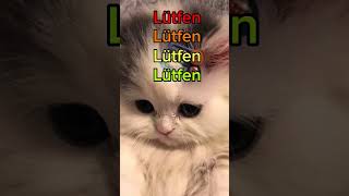 Bu K Için Abone Olabilirsin Zor Birşey Değil Plase