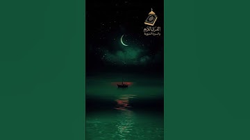 اكتب شيء تؤجر عليه ❤️🌧️ #القارئ ياسر الدوسري #اكسبلور #المصحف  #راحة_نفسية  #الرحمن #المتابعين