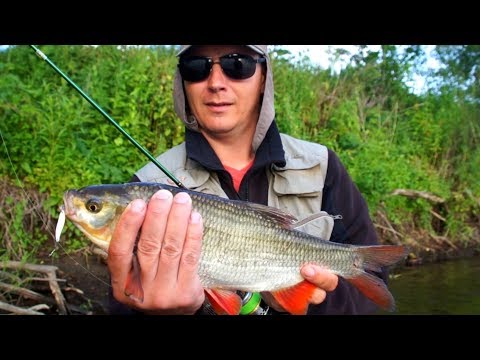 Catching spinning spoon-bait on a small river